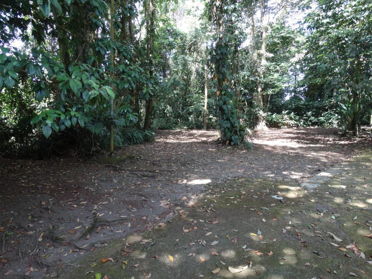 Horquetas River Lodge Sarapiquí Eksteriør bilde