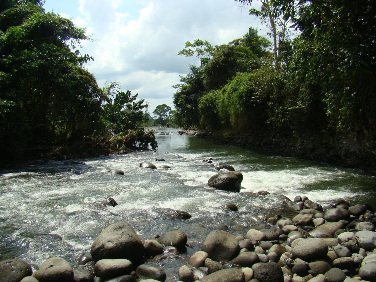 Horquetas River Lodge Sarapiquí Eksteriør bilde