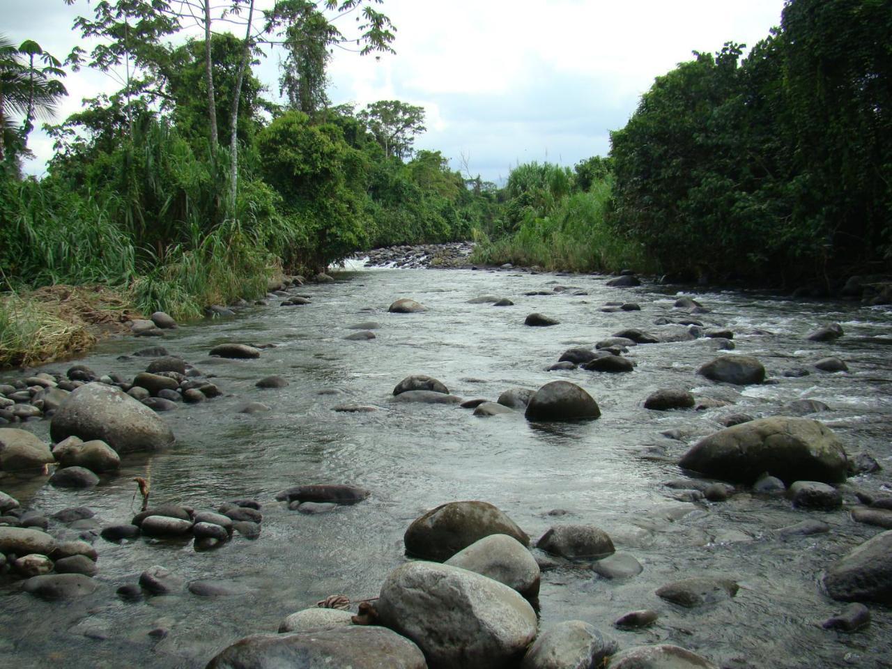 Horquetas River Lodge Sarapiquí Eksteriør bilde