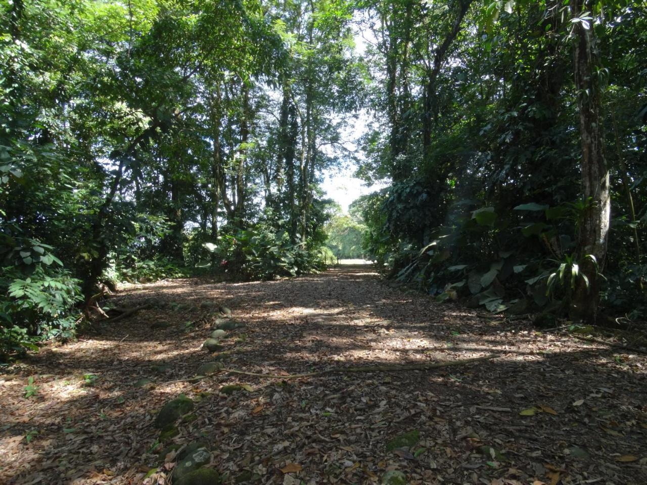 Horquetas River Lodge Sarapiquí Eksteriør bilde