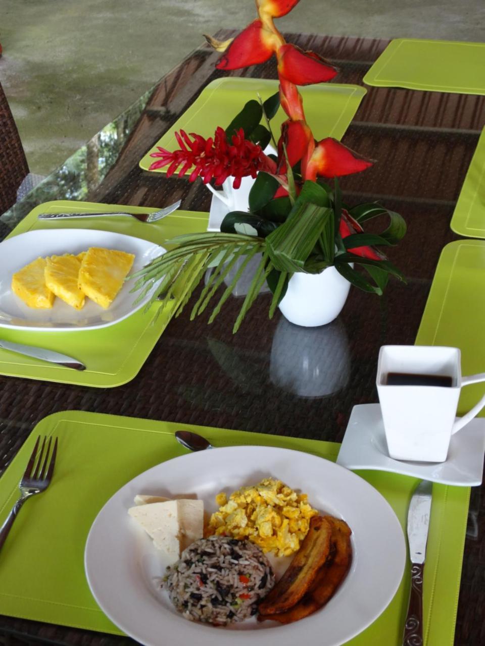 Horquetas River Lodge Sarapiquí Eksteriør bilde