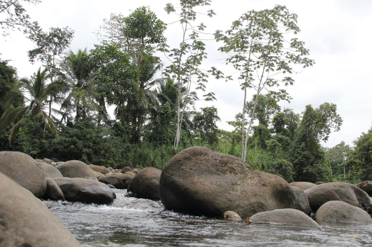 Horquetas River Lodge Sarapiquí Eksteriør bilde