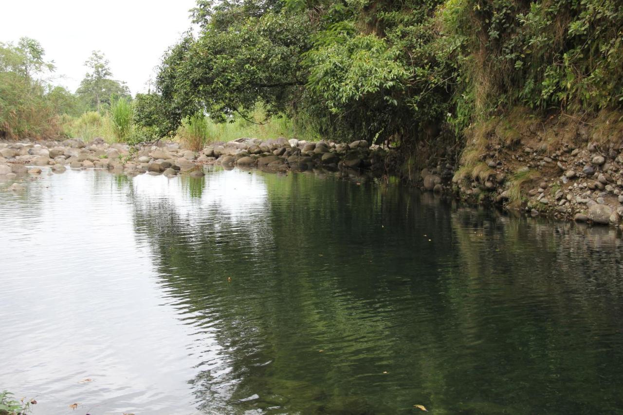 Horquetas River Lodge Sarapiquí Eksteriør bilde