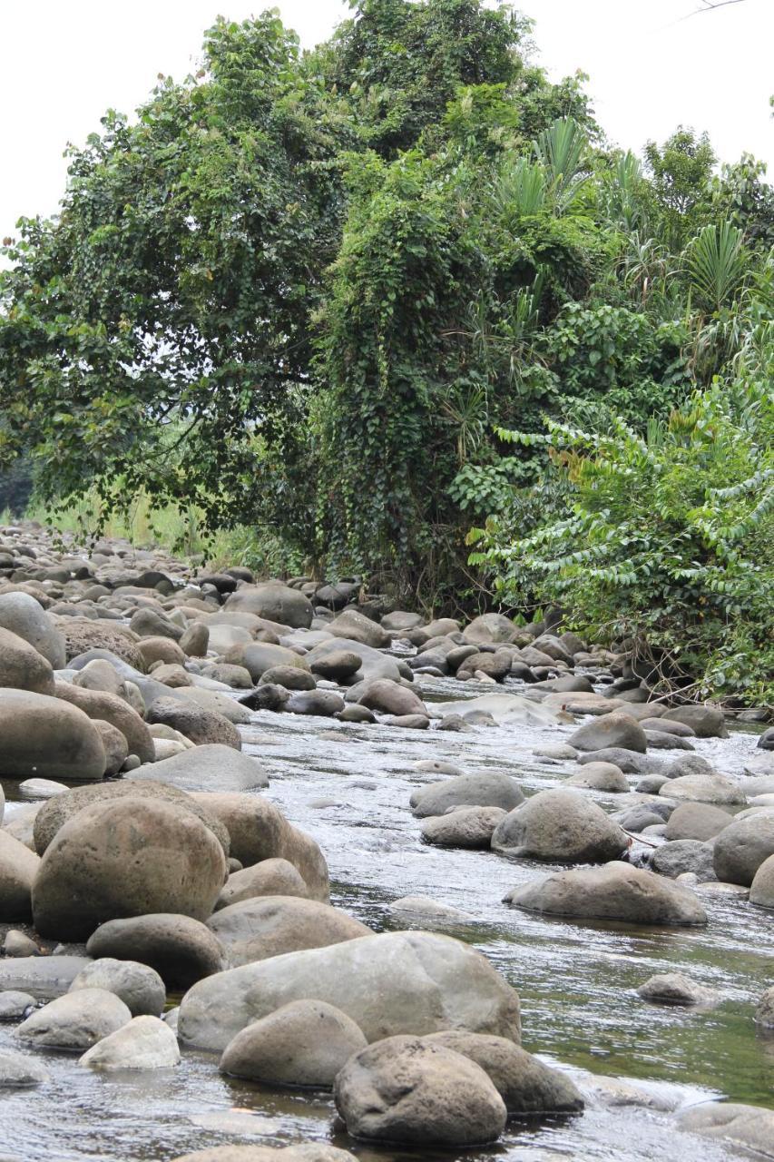 Horquetas River Lodge Sarapiquí Eksteriør bilde