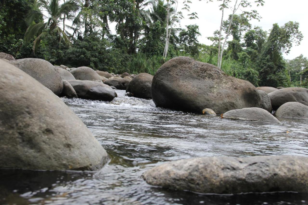 Horquetas River Lodge Sarapiquí Eksteriør bilde