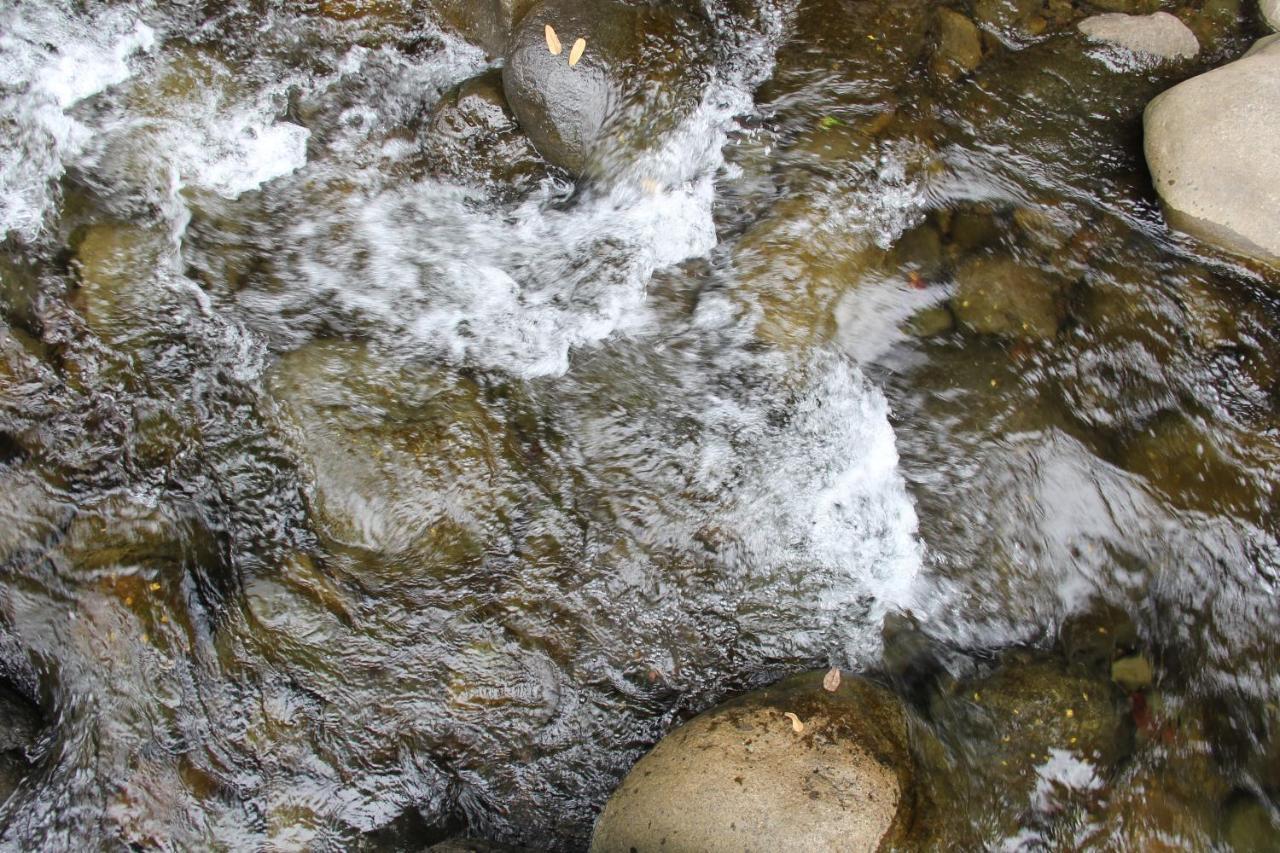 Horquetas River Lodge Sarapiquí Eksteriør bilde