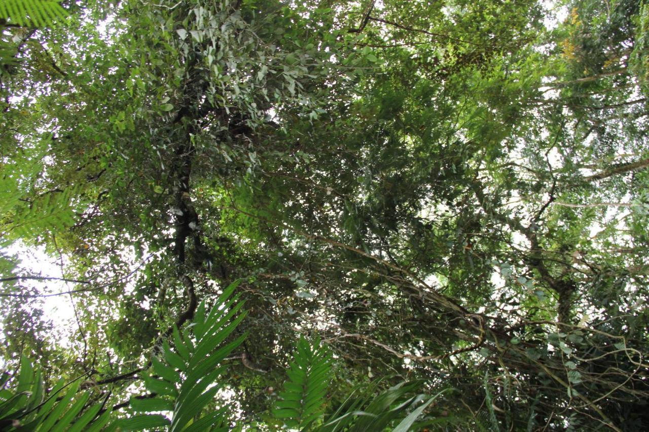 Horquetas River Lodge Sarapiquí Eksteriør bilde