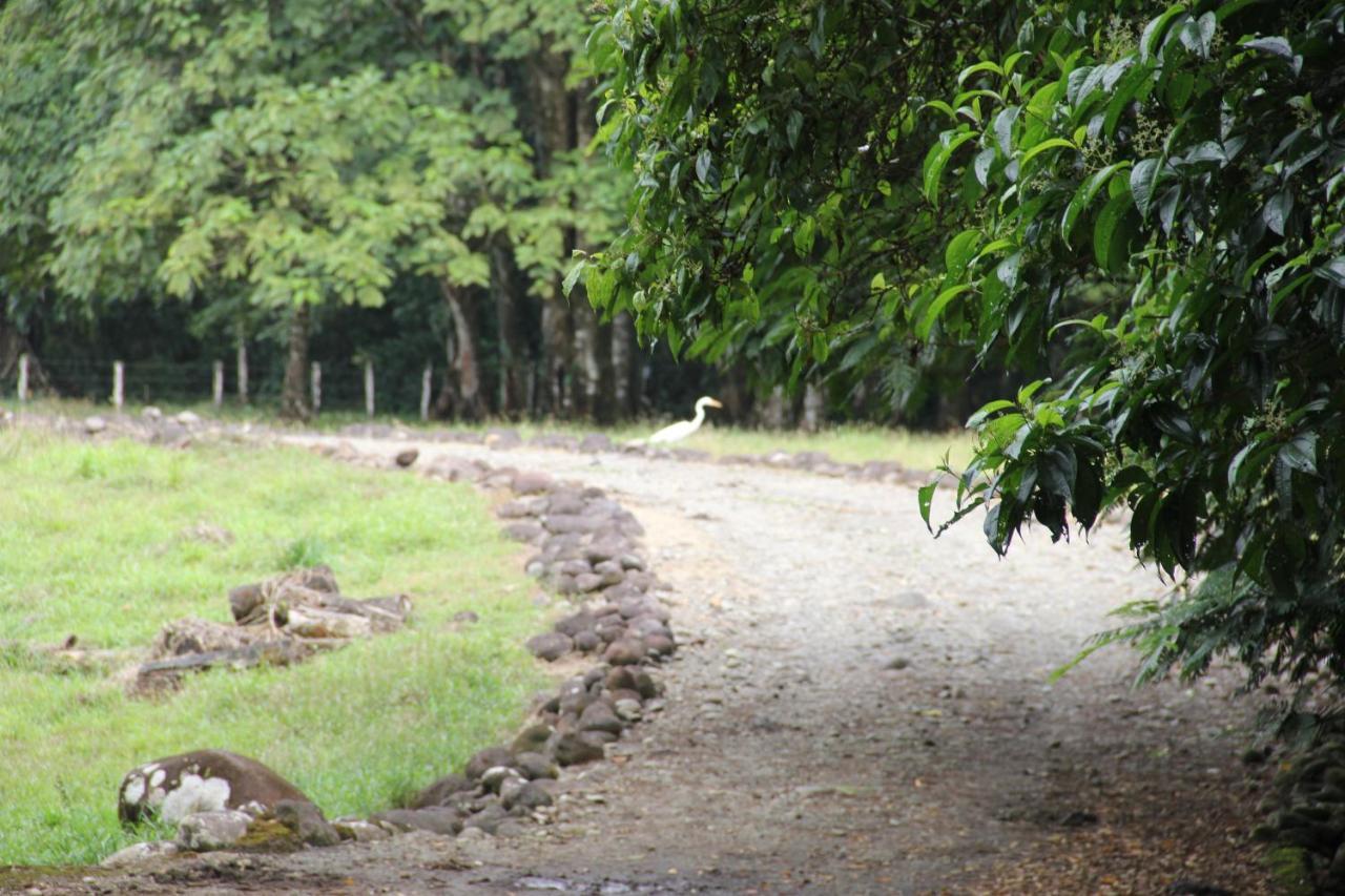 Horquetas River Lodge Sarapiquí Eksteriør bilde