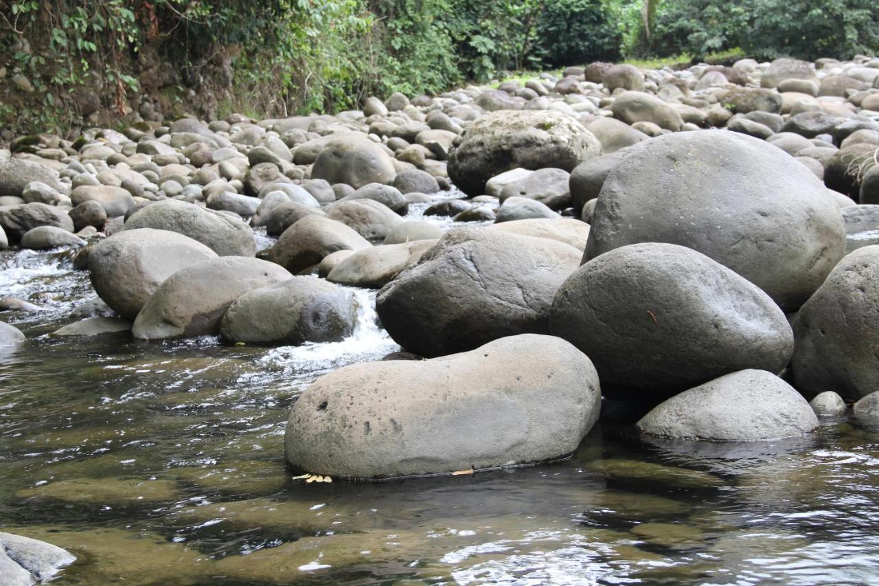 Horquetas River Lodge Sarapiquí Eksteriør bilde