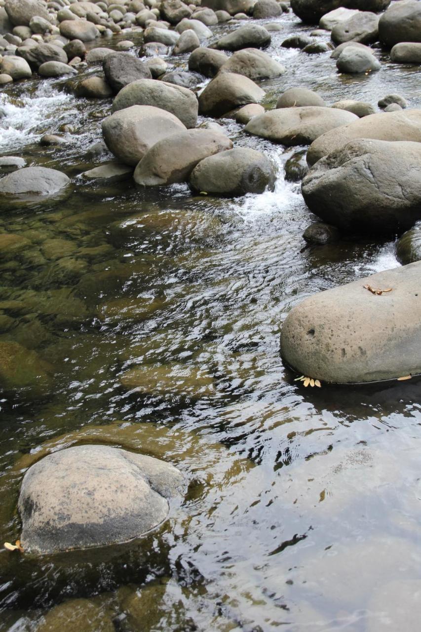 Horquetas River Lodge Sarapiquí Eksteriør bilde